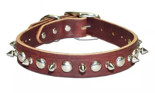 Omnipet Spiked & Studded Latigo Collar