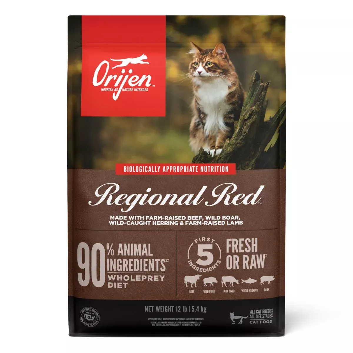 Orijen Regional Red Dry Cat Food – Beef, Boar, & Pork – 12lb Bag