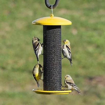 Perky-Pet Shorty Finch Feeder