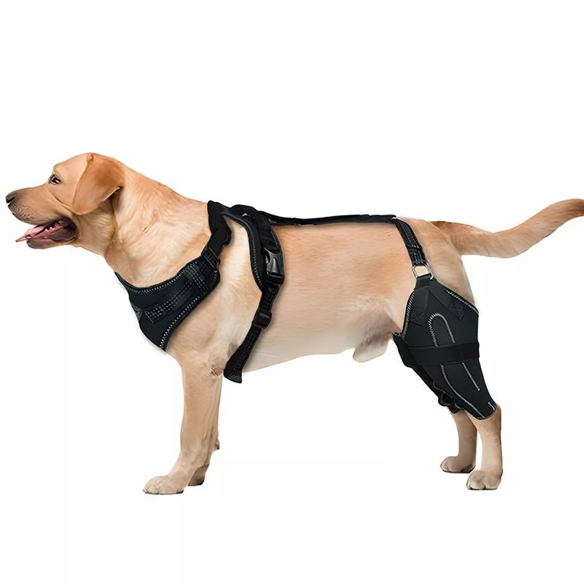 Pet Protective Gear Dog Thigh Protective Sleeve Postoperative Auxiliary Leg Warmer Adjustable Metal Support – Black | M