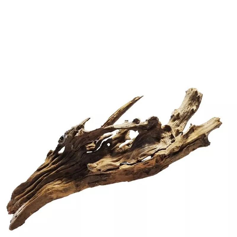 PISCES MEKONG RIVER WOOD MEDIUM ASSORTED 30CM