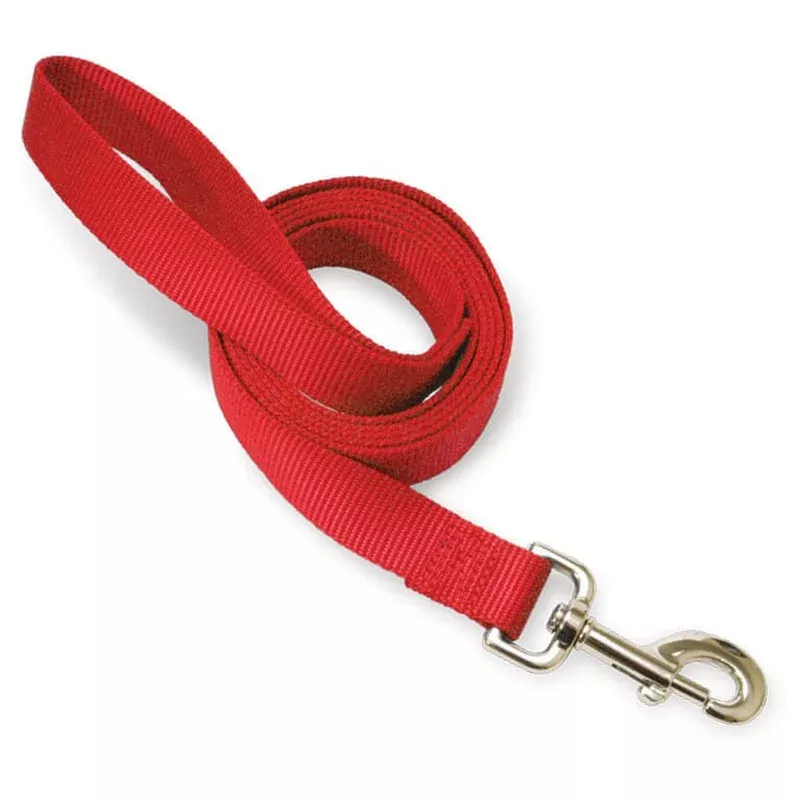 The Premier Leash, 1″ x 6 ft