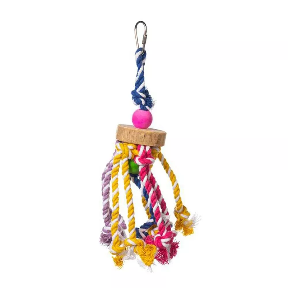 Prevue Pet Court Jester Bird Toy