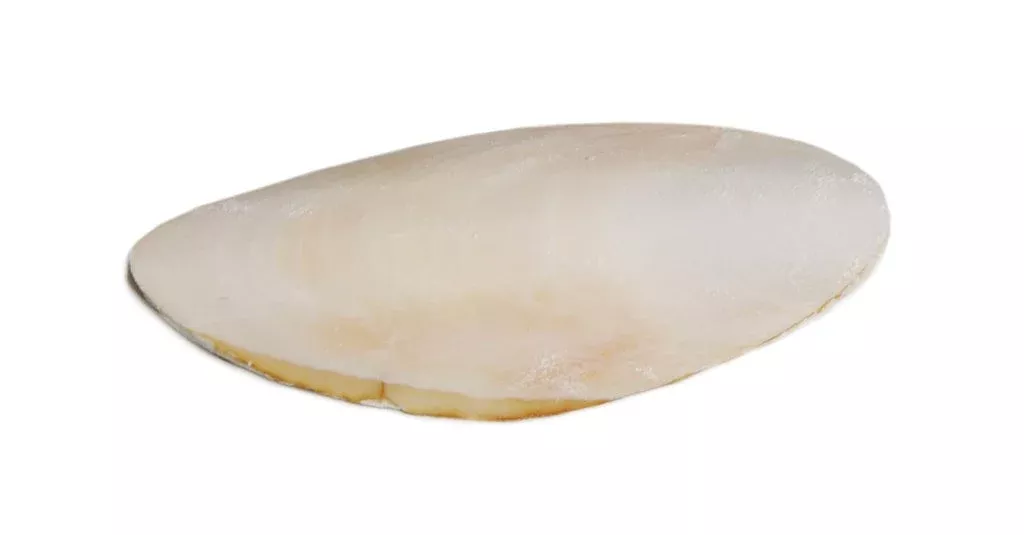 Prevue Pet Prevue Hendryx Cuttlebone for Bird Bulk Box