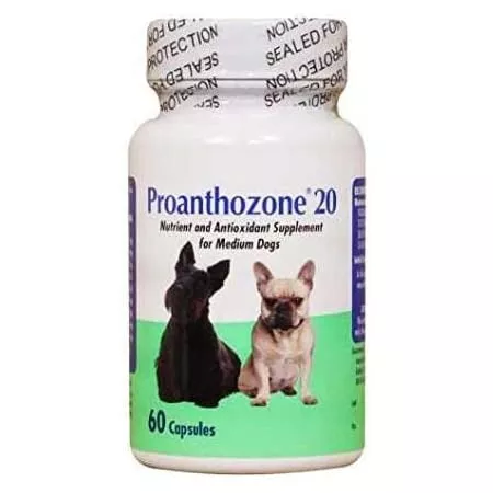 Proanthozone 20 Capsules for Medium Dogs