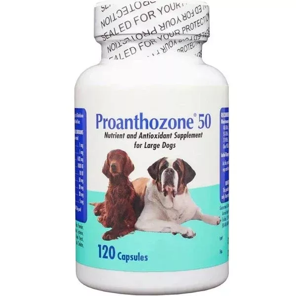 Proanthozone 50 Capsules for Large Dogs