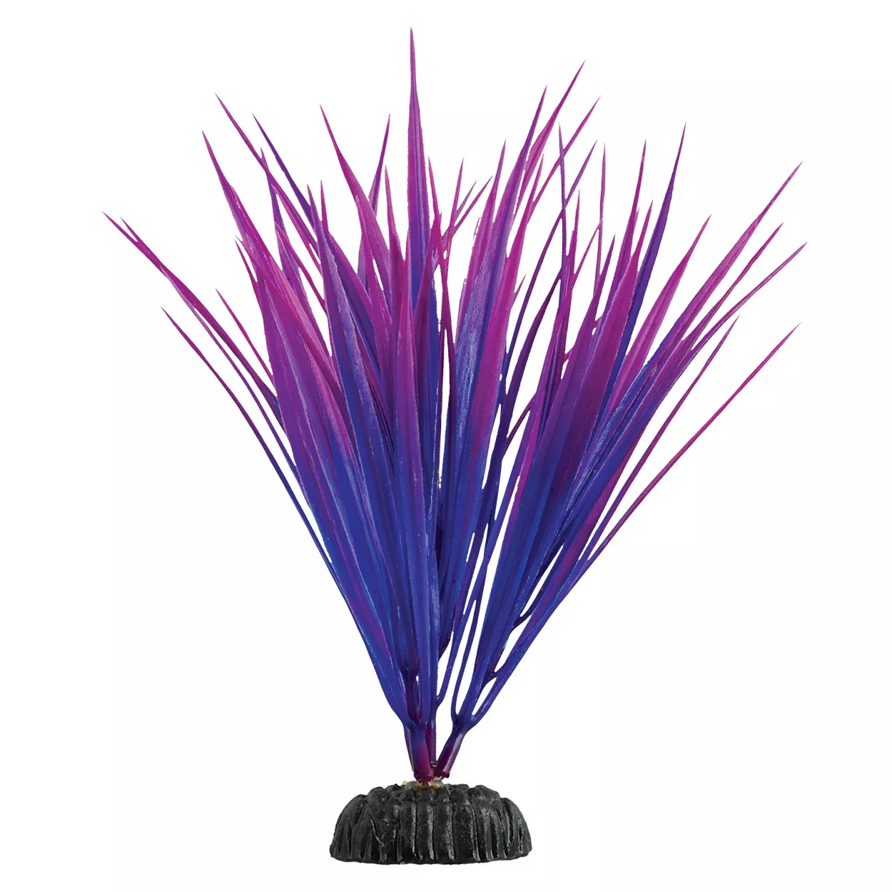 Purple Nile Grass – 7.5″Aquarium Plant