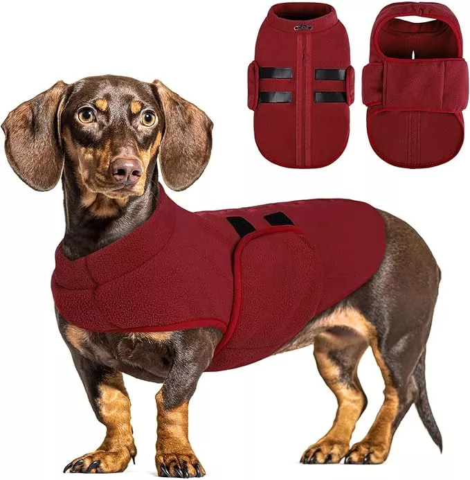 Queenmore Small Dog Sweater, Soft Fleece Vest Pullover Dog Jacket with Leash Hole, Warm Winter Dogs Clothes Cold Weather Doggy Dachshund Sweaters for Small Dogs Cats Boy or Girl (Burgundy, XS)