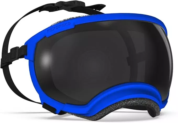 Rex Specs V2 Dog Goggles (Balkan Blue, Large)