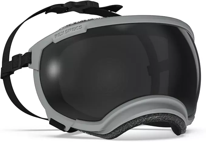 Rex Specs V2 Dog Goggles (Gallatin Grey, X-Large)