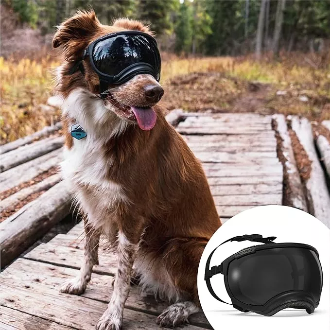 Rex Specs V2 Dog Goggles (Large, Black)