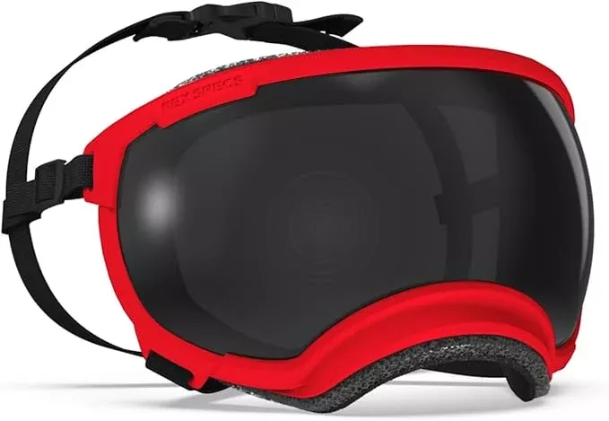 Rex Specs V2 Dog Goggles (Medium, Ranger Red)
