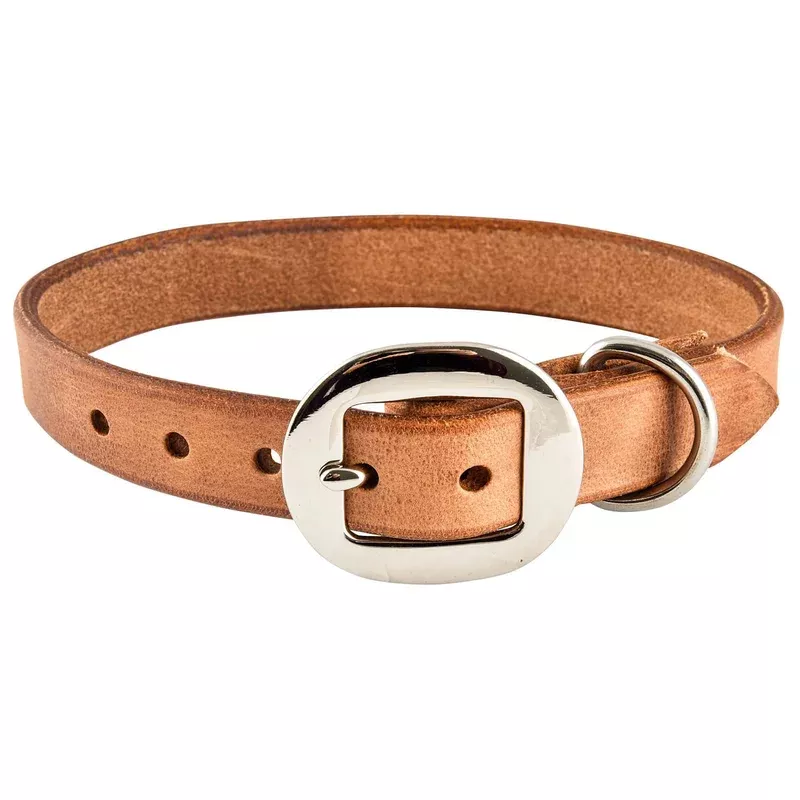 San Saba Leather Dog Collar