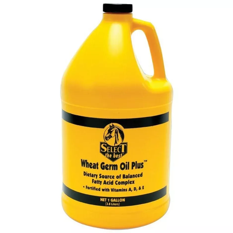 SELECT THE BEST WHEAT GERM OIL PLUS