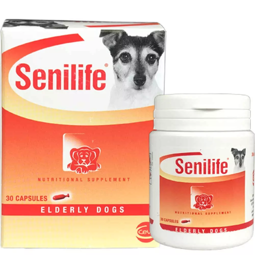 SeniLife for Elderly Dogs
