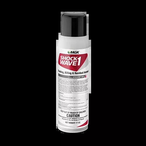Shock Wave 1 Aerosol