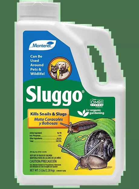 SLUGGO KILLS SNAILS AND SLUGS