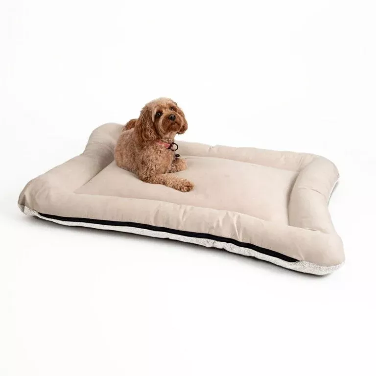 Snoozer All Day Reversible Dog Bed Medium Anthracite Ivory