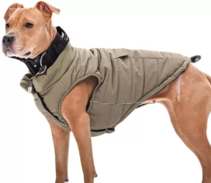 Spark Paws Dog Winter Jacket, Water-Resistant Coat, Warm Reflective Windproof Fleece-Interior, for Medium and Large Dogs - Olive - XXL