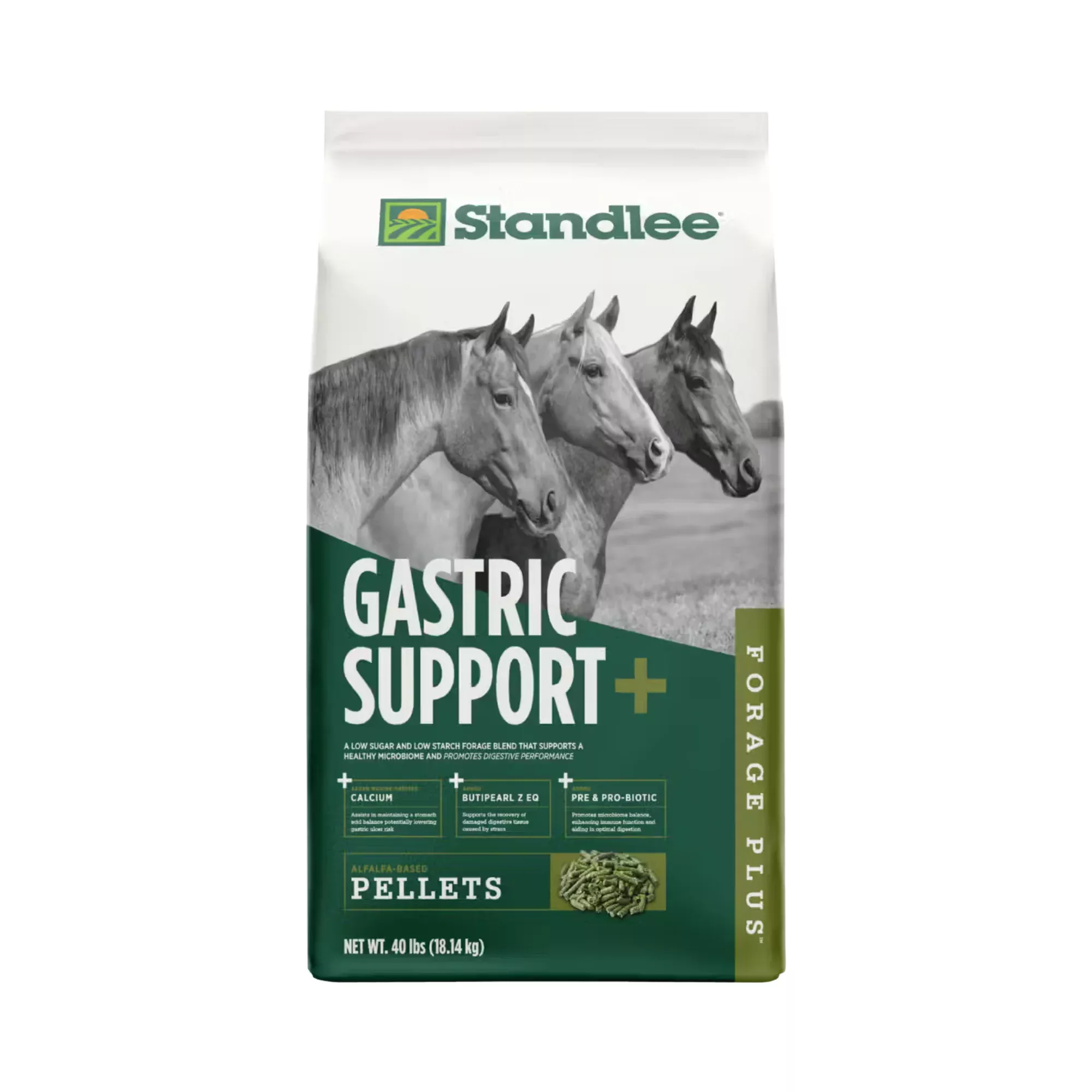 Standlee Forage Plus Gastric Support