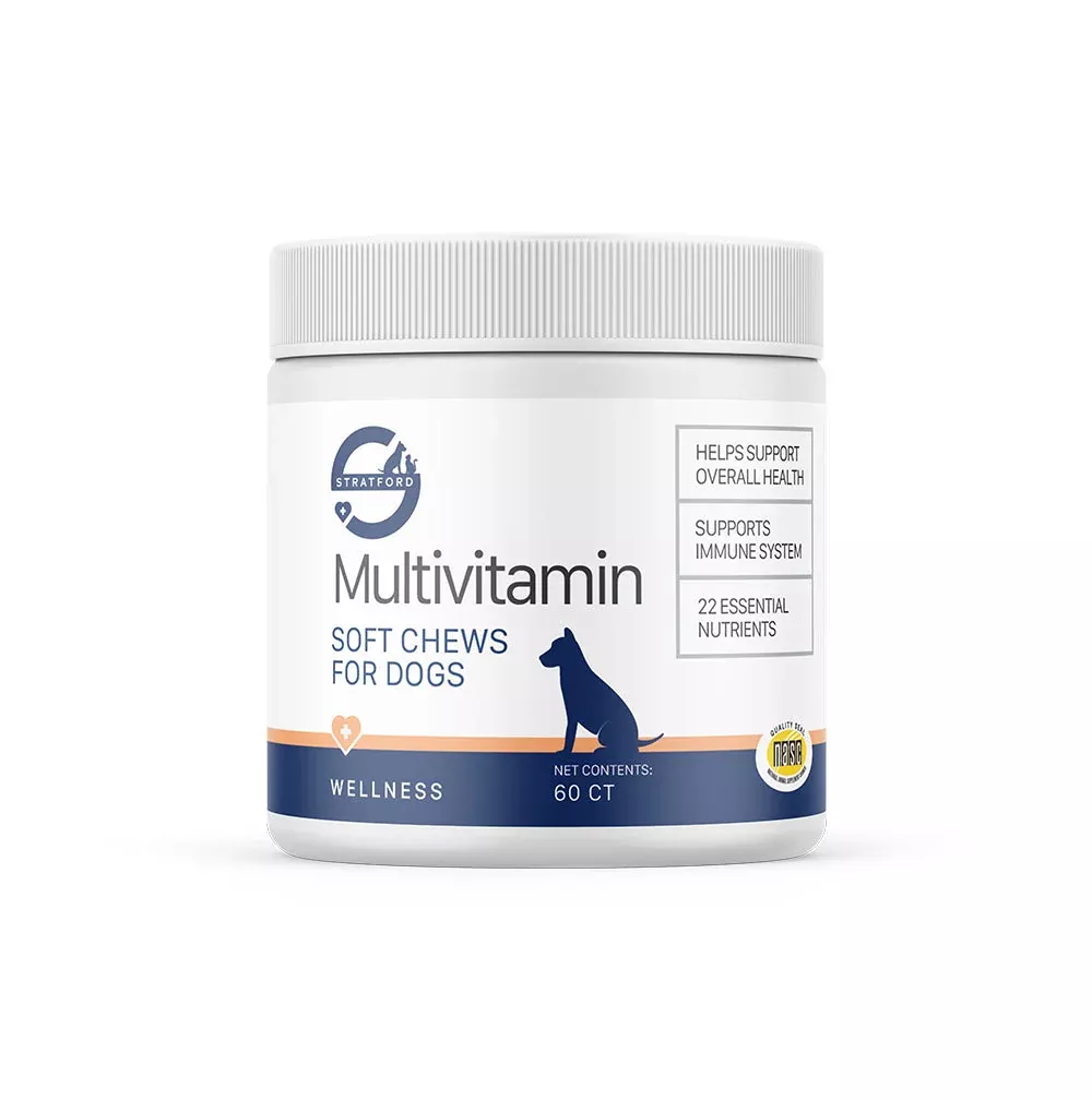 Stratford EZ-CHEW Multi-Vitamin Soft Chews for Dogs