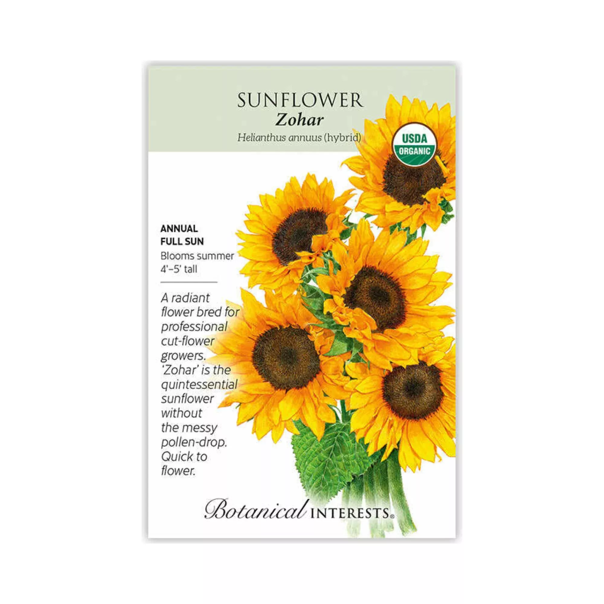 Sunflower Zohar