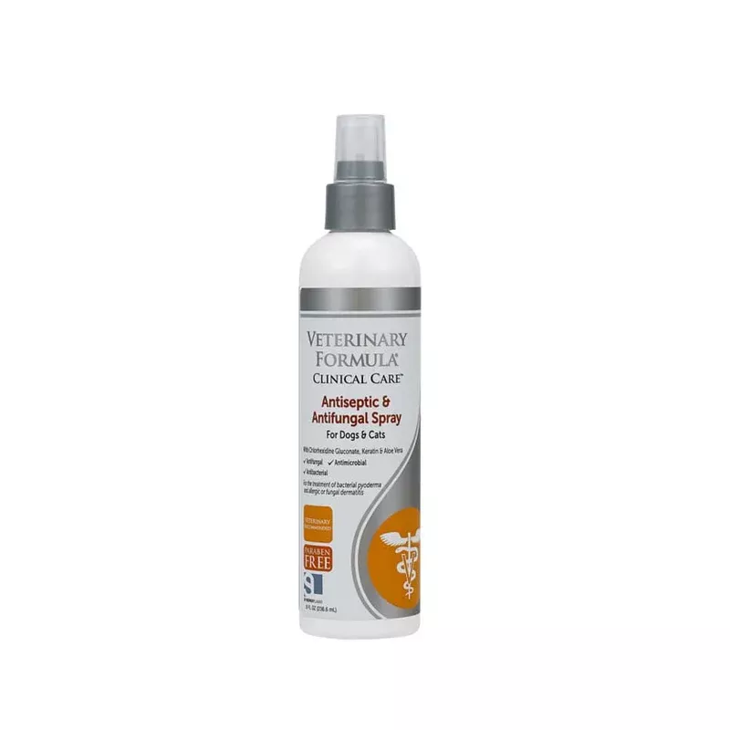 Synergy Labs Antiseptic and Antifungal Spray 8 oz