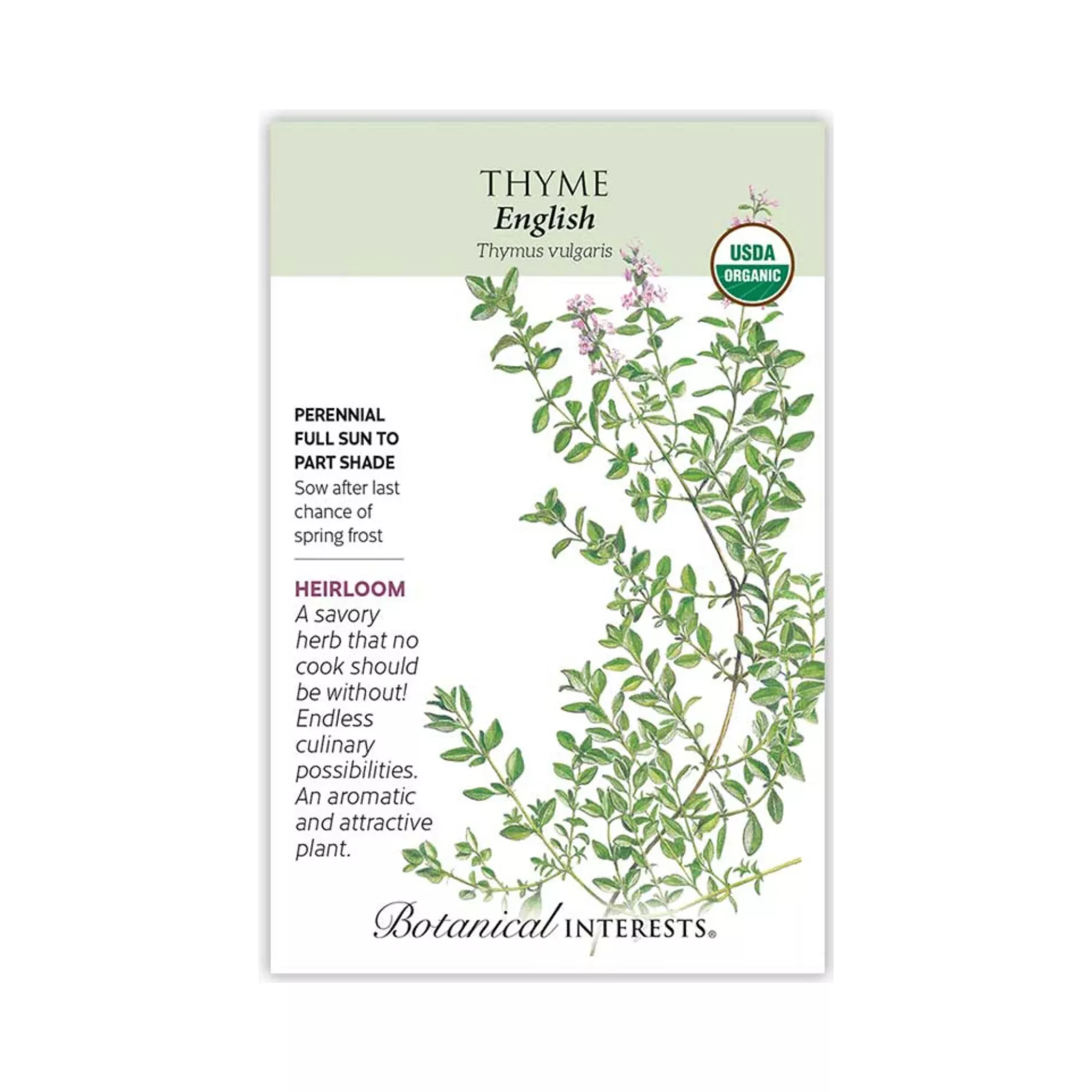 Thyme English Organic
