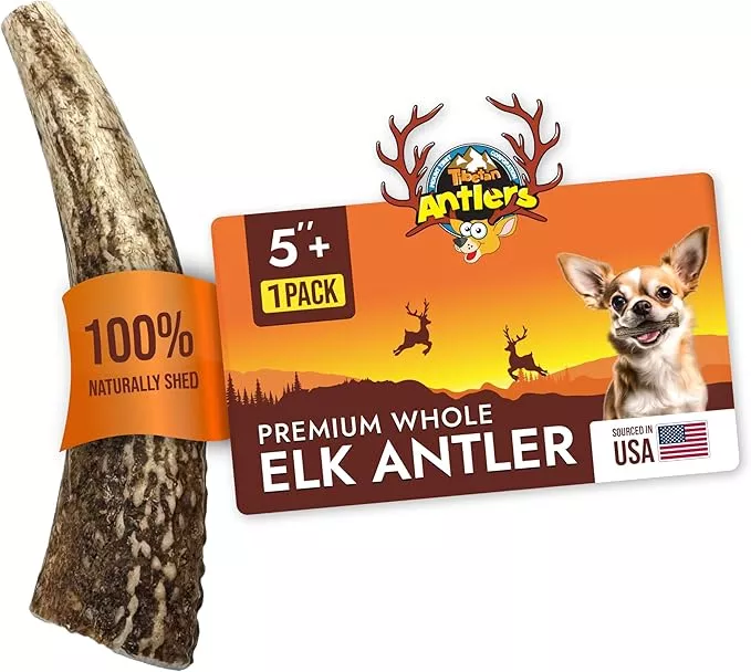 Tibetan Dog Chew Antler