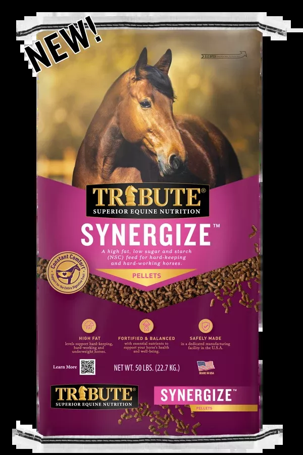 Tribute Synergize™ Pelleted Horse Feed