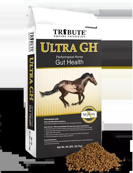 Tribute Ultra GH