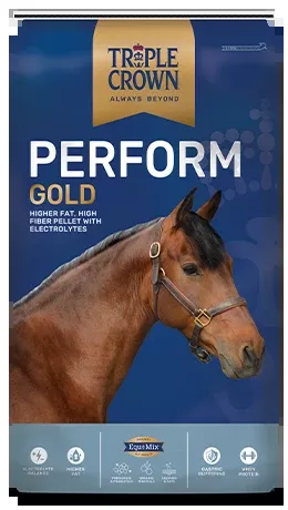 TRIPLE CROWN PERFORM GOLD