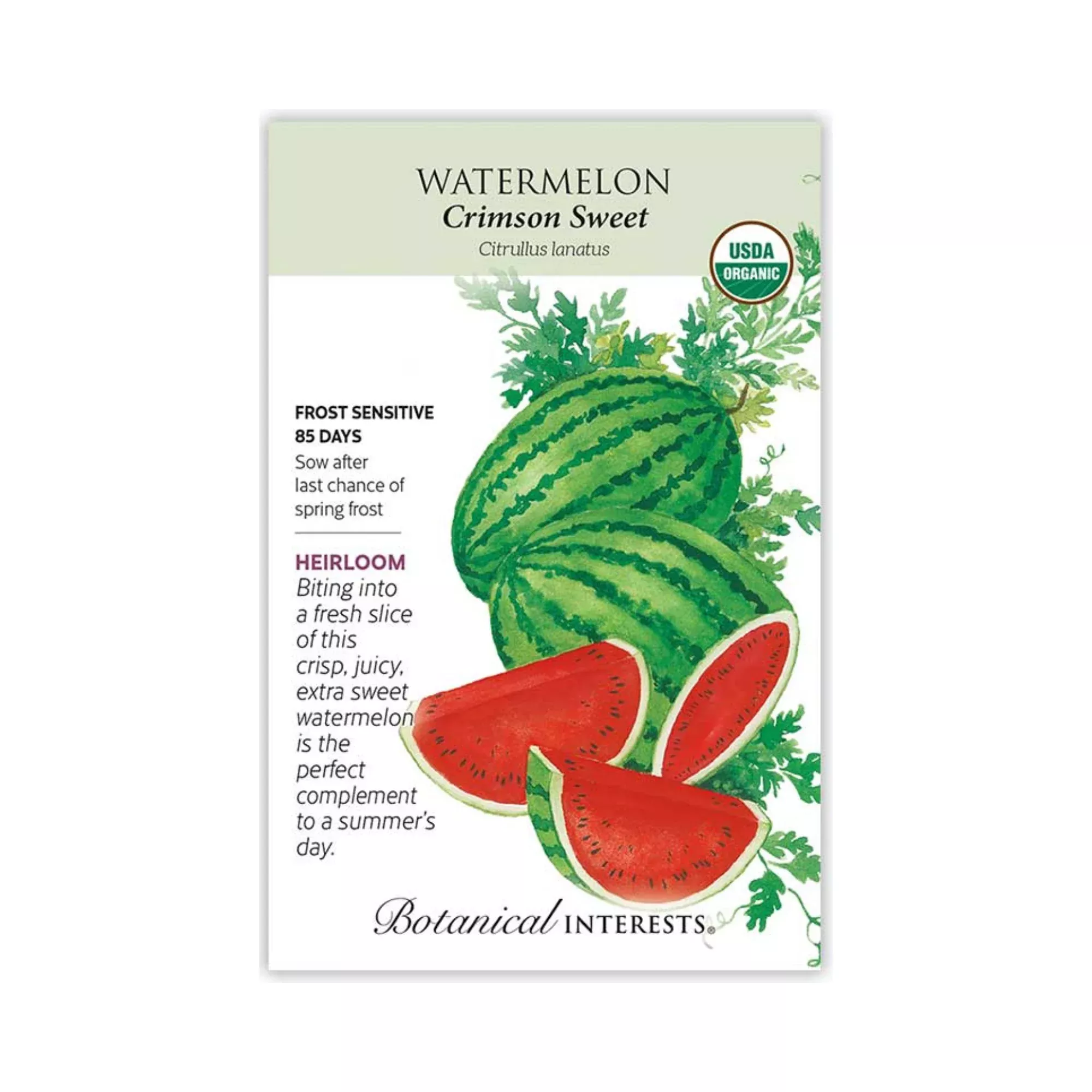 Watermelon Crimson Sweet Organic