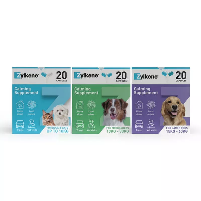 Zylkene Calming Supplement for Cats and Dogs